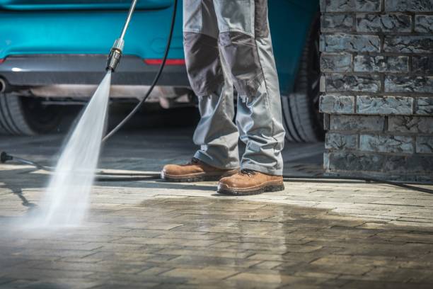 Best Factory Floor Cleaning  in Delano, MN