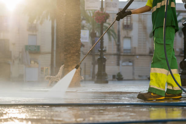 Best Gutter Cleaning  in Delano, MN